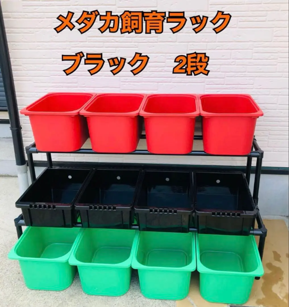 2026年最新】トロファスト メダカの人気アイテム - メルカリ