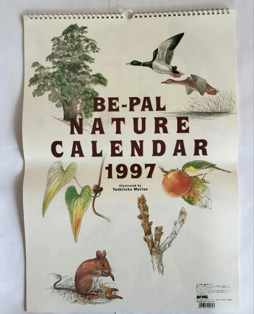 2026年最新】古いビーパルの人気アイテム - メルカリ