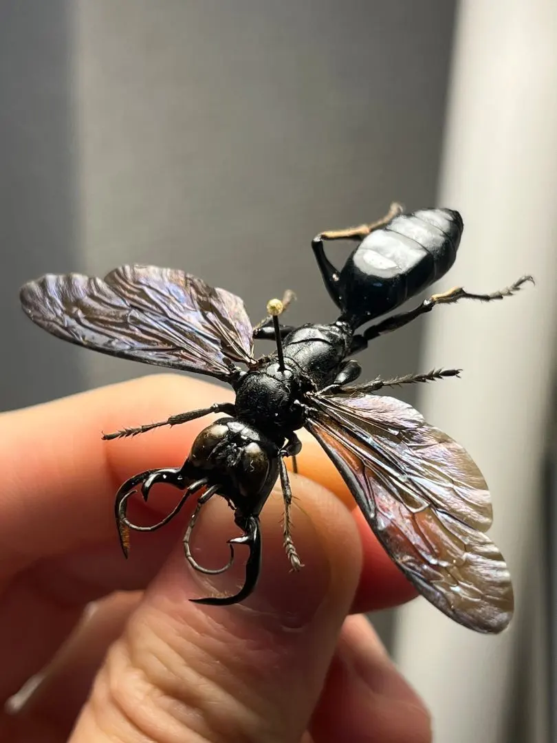 2026年最新】メガラ ガルーダの人気アイテム - メルカリ