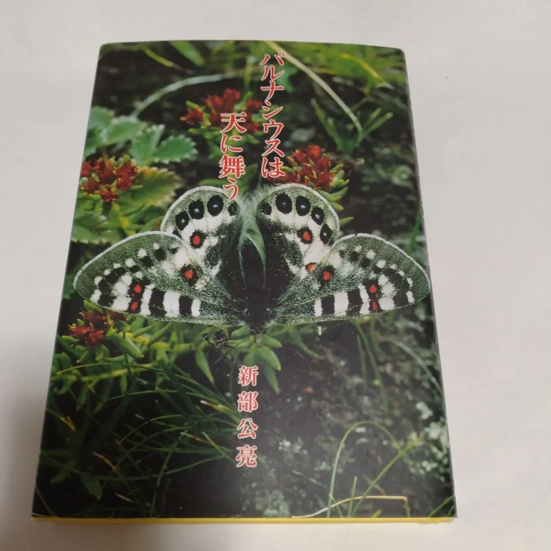 パルナシウス「5種」8頭