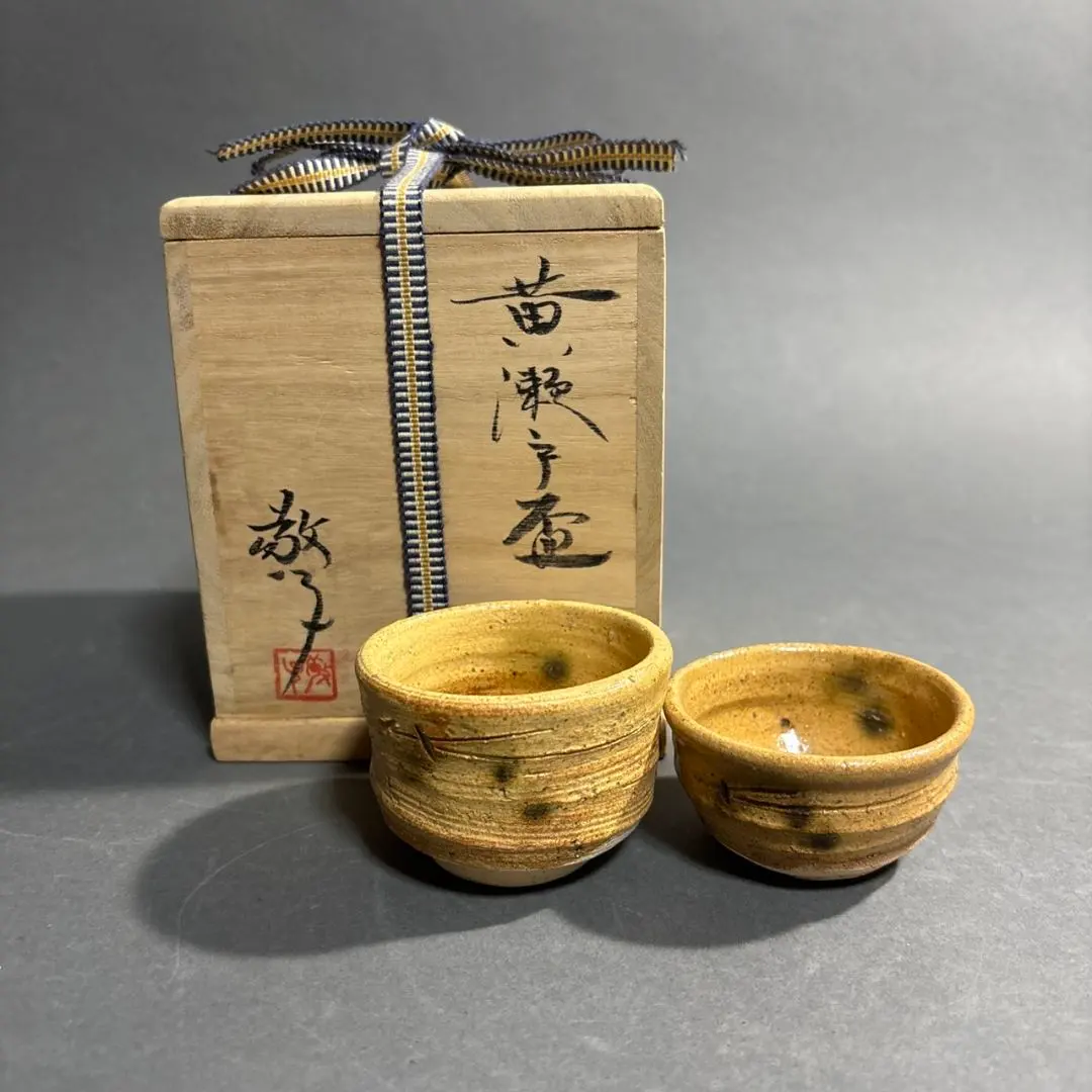 美濃焼伝統工芸士 水野敬子 黄瀬戸皿 5枚セット 美濃焼伝統