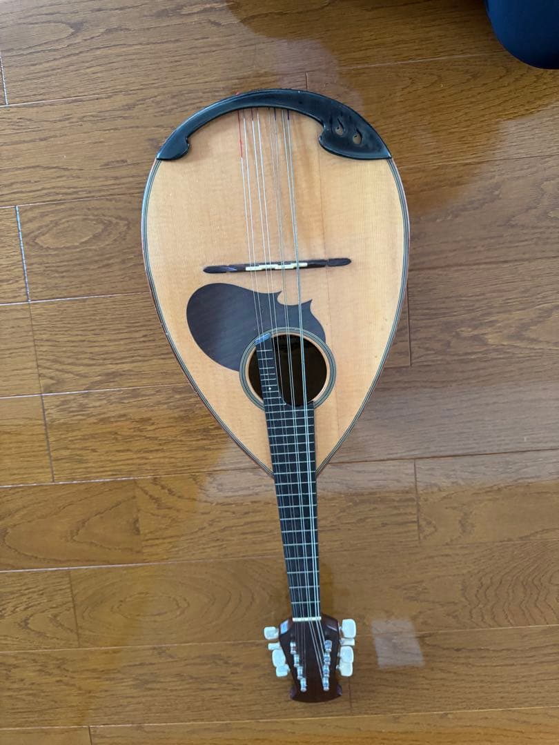 マンドリン スズキ M-20