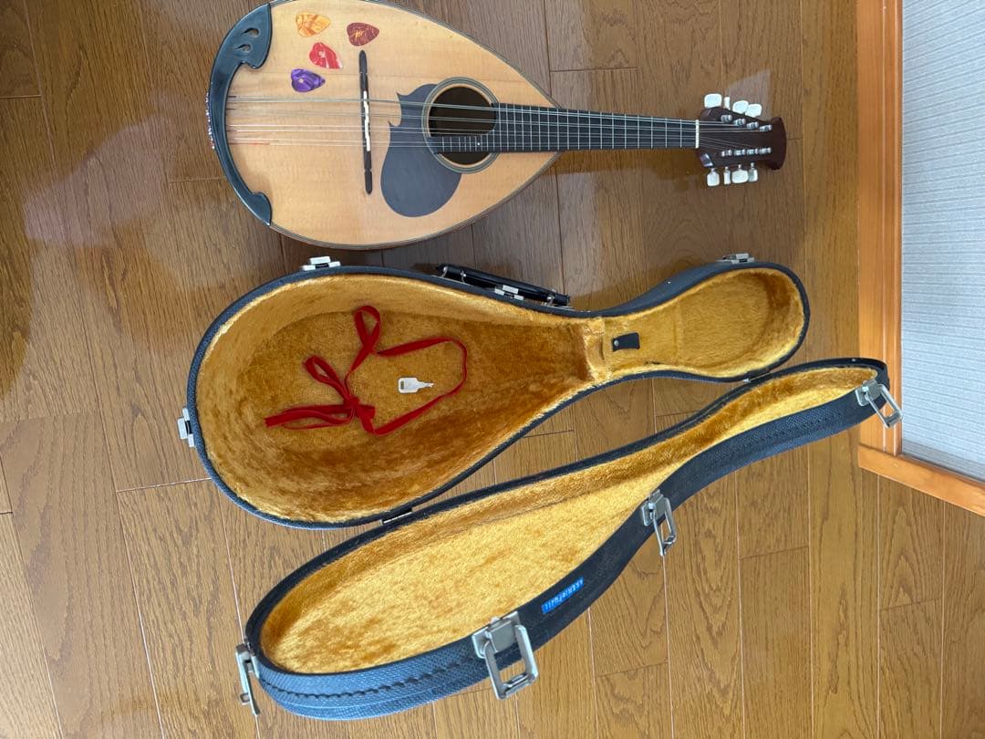 マンドリン スズキ M-20