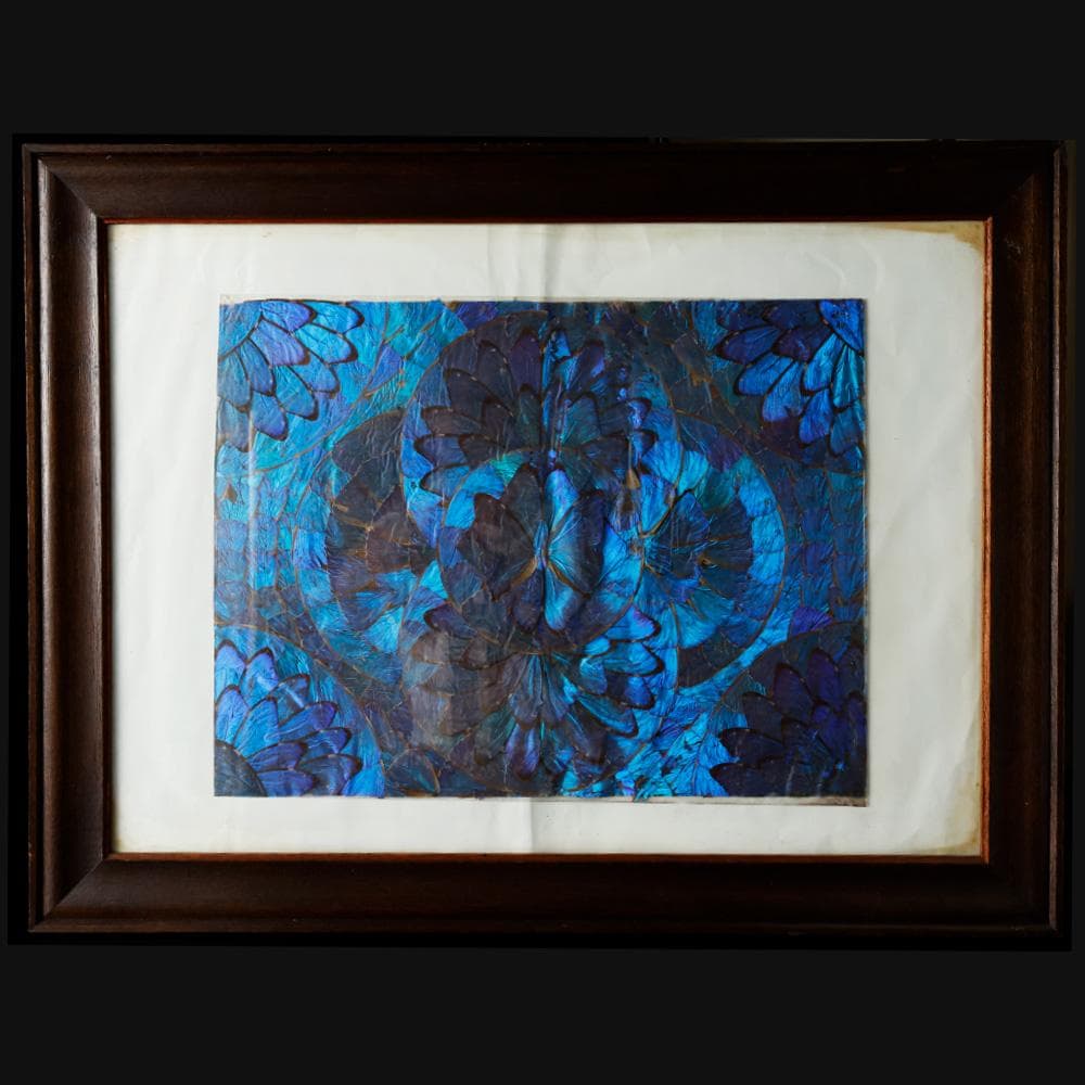 ブルーモルフォ蝶 飾り額 バタフライアート 蝶画 蝶額 標本？羽根細工 モルフォ蝶翅細工 蝶画 蝶額 羽根細工 バタフライ額装 螺細 青い蝶