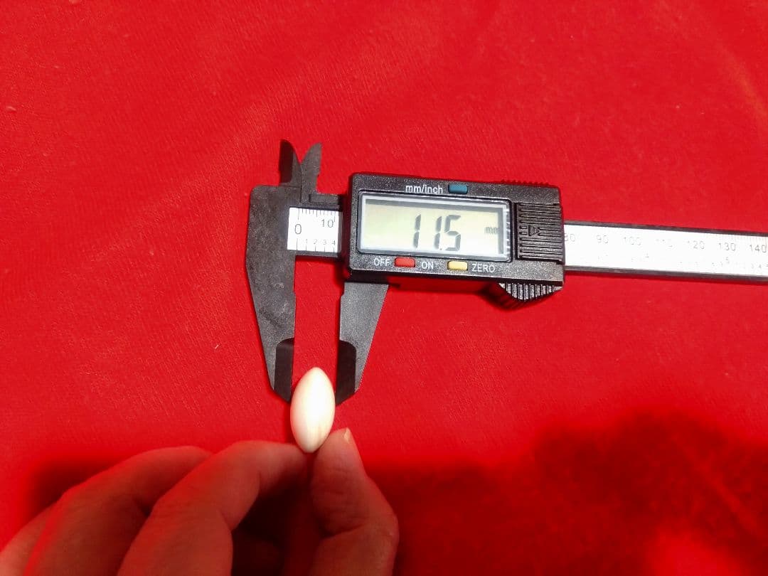 【囲碁】欅碁笥　本蛤碁石、那智黒石　11.4ミリ