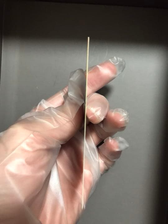 ポケモンカードダス　スペシャル2枚セット　No.000