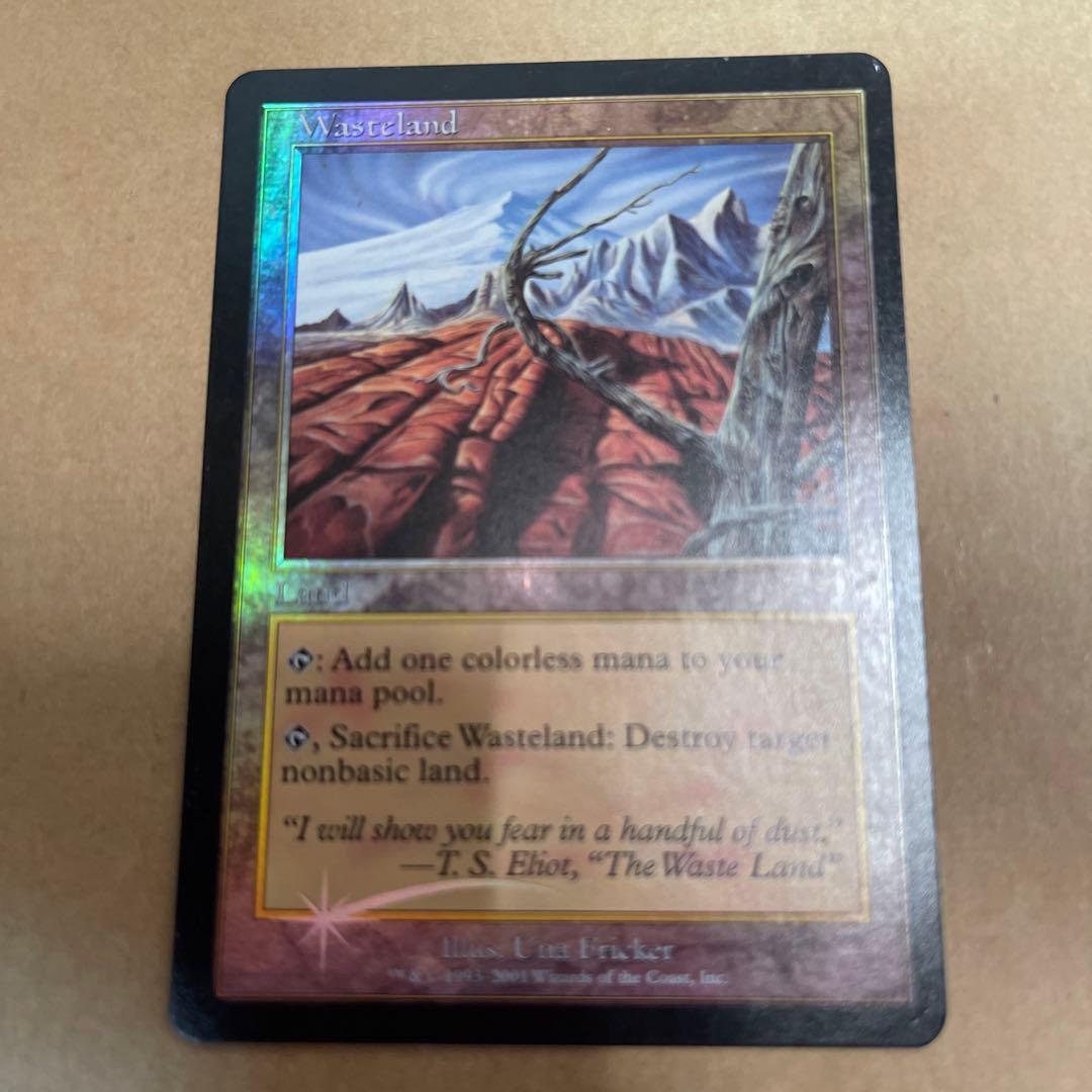 美品】 MTG 不毛の大地 英語 foil ①〜③ 【3063247530】