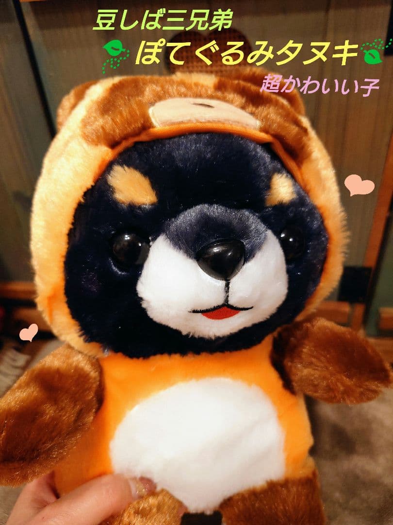 豆しば三兄弟 ぽてぐるみタヌキ 豆ジロー JB ≪9月の新商品≫豆しば三兄弟ぽてぐるみタヌキ-NEW ITEM！｜アミューズ
