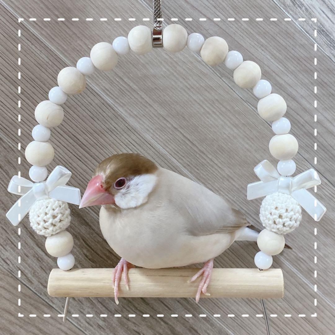 Sora様専用】ことりのおおきなあそびば Sora】ことりのおおきなあそび