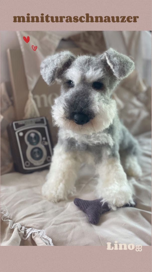 ஐ羊毛フェルト ੯•`໒ミニチュアシュナウザー-ジャパン公式オンライン