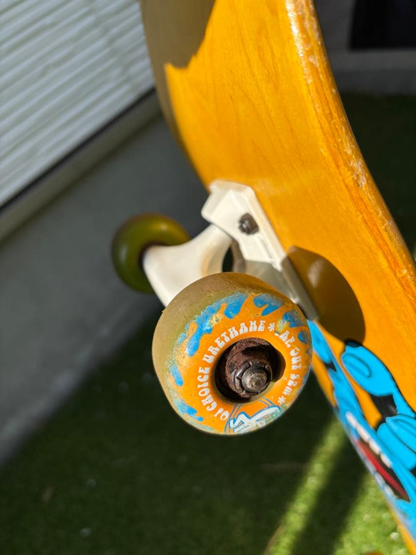 サンタクルーズ　スケートボード　デッキ　コンプリート