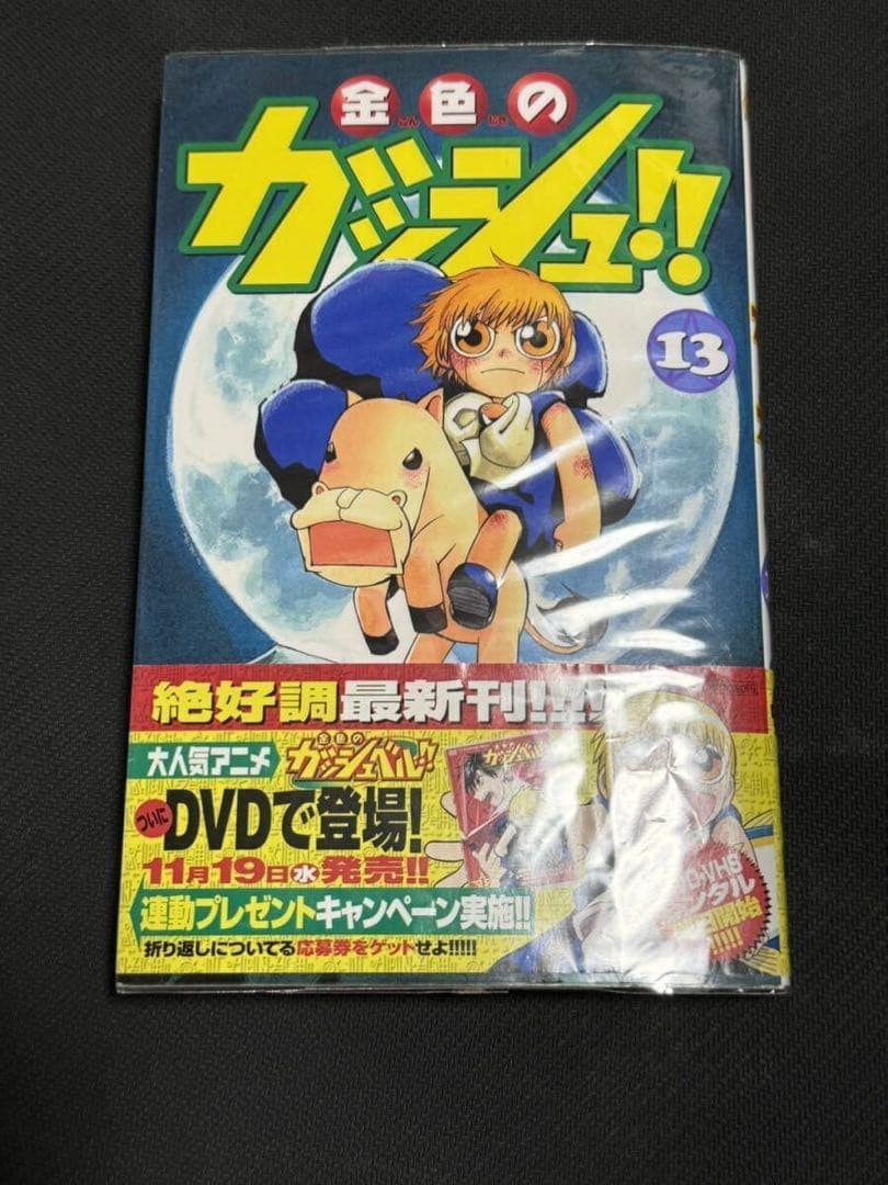 金色のガッシュ 雷句誠色紙 直筆サインイラスト入り サイン入り