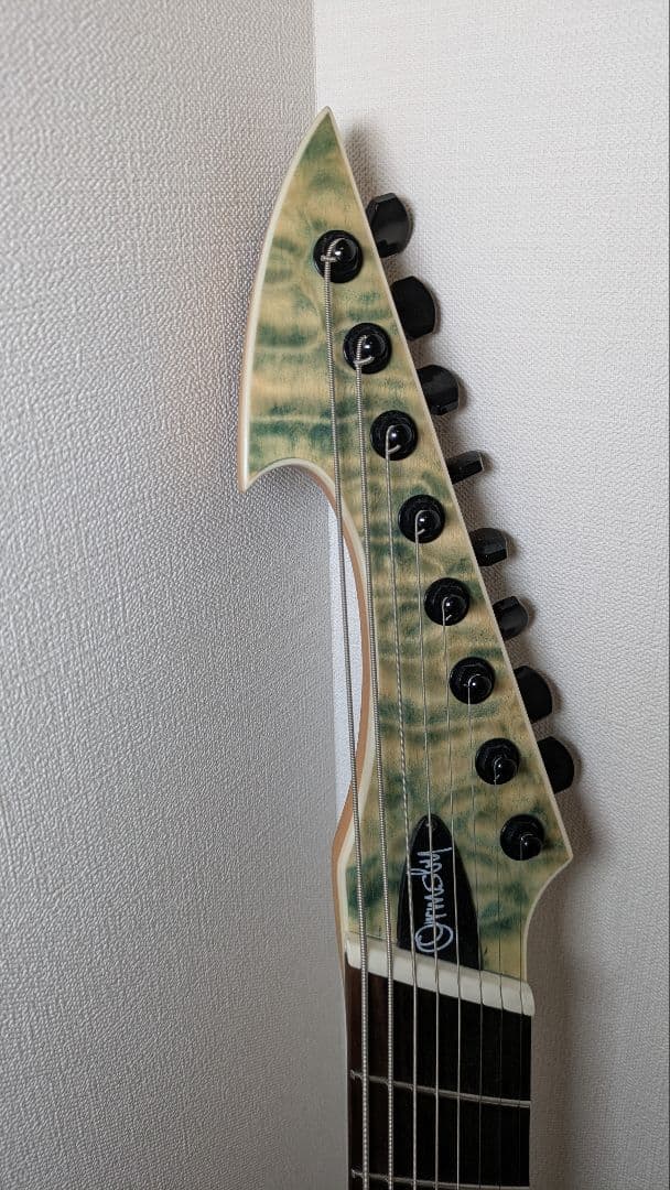 Ormsby Hype GTR 8 8弦ギター マルチスケール