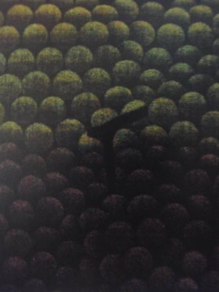 浜口陽三、メゾチント 、緑と紫のぶどう、希少な額装用画集より、新品高級額装付