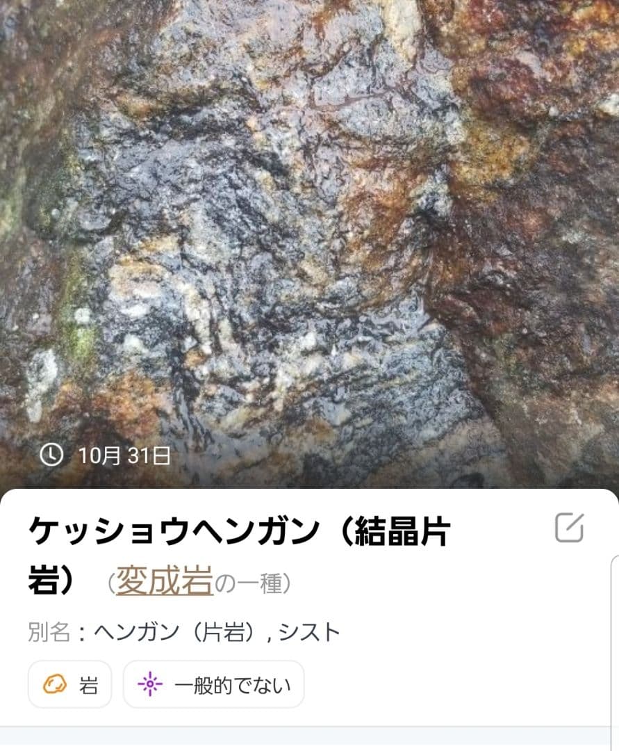 希少原石 結晶片岩 シスト 庭石 ロックガーデン ガーデニング 宝石物質