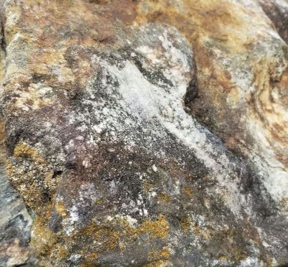 希少原石 結晶片岩 シスト 庭石 ロックガーデン ガーデニング 宝石物質