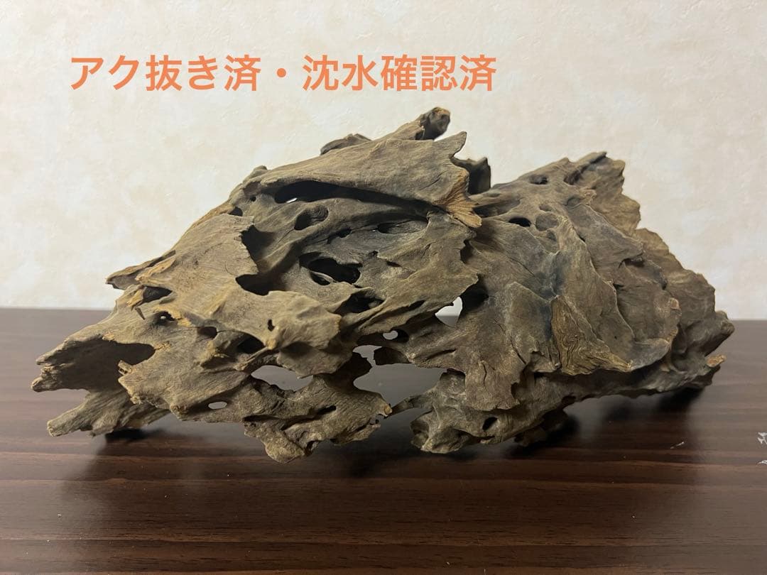 XM-367 ブランチウッド 流木 マシンガンウッド アクアリウム 沈水確認済