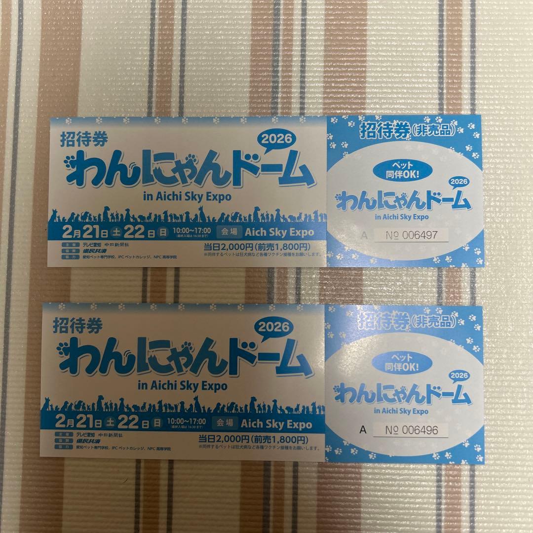 わんにゃんドーム 招待券 2026年 - メルカリ