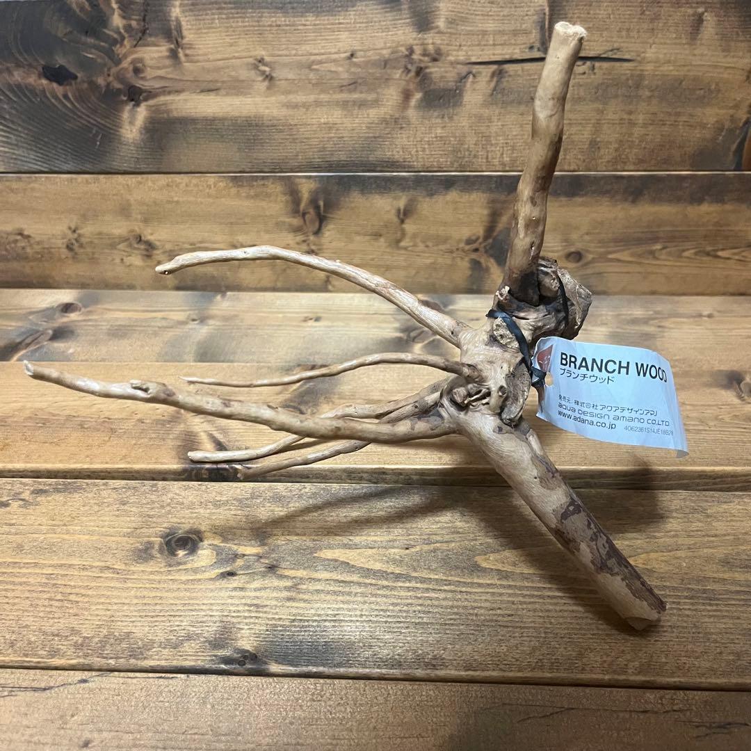 厳選流木】 ADA社 ブランチウッド4本 2025年カレンダーおまけ付き