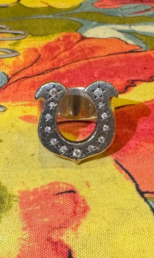 TENDERLOINテンダーロイン ホースシューリング 13号