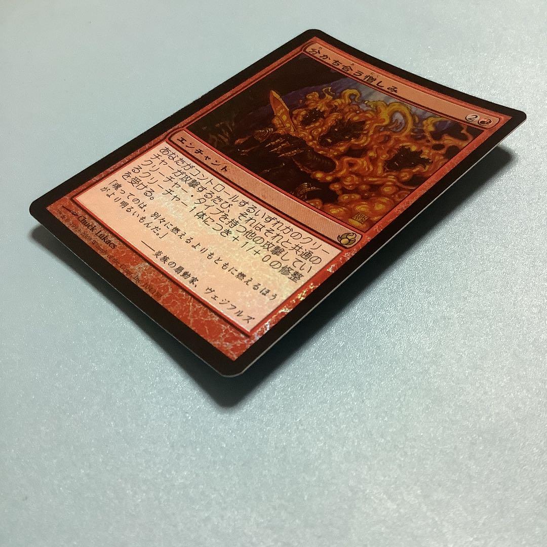 分かち合う憎しみ/Shared Animosity  MOR日本語foil