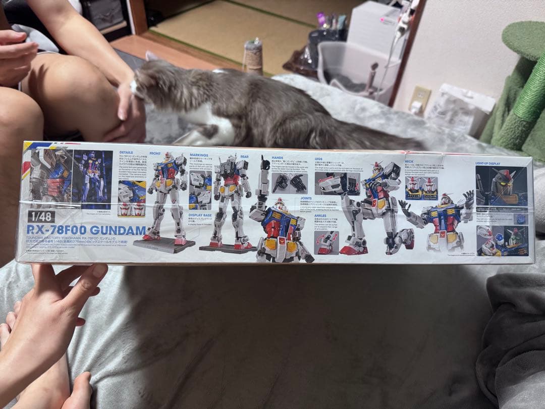 ロボット RX-78F00 GUNDAM 1/48 BANDAI