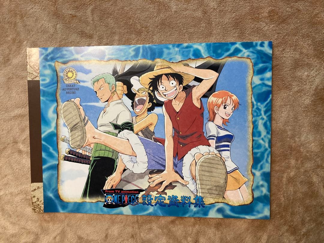 ONE PIECE 設定資料集