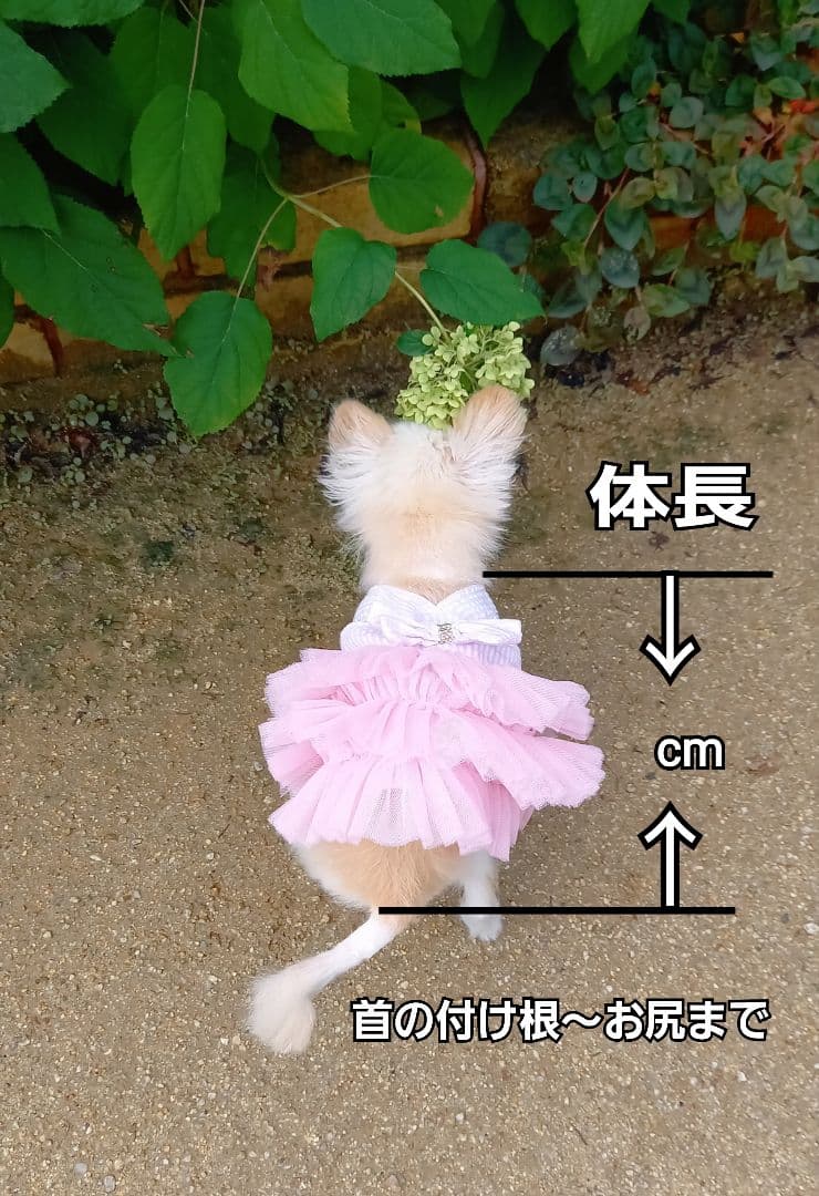 立田様専用ページ♥️ チワワ ブラックタン 等身大 ぬいぐるみ