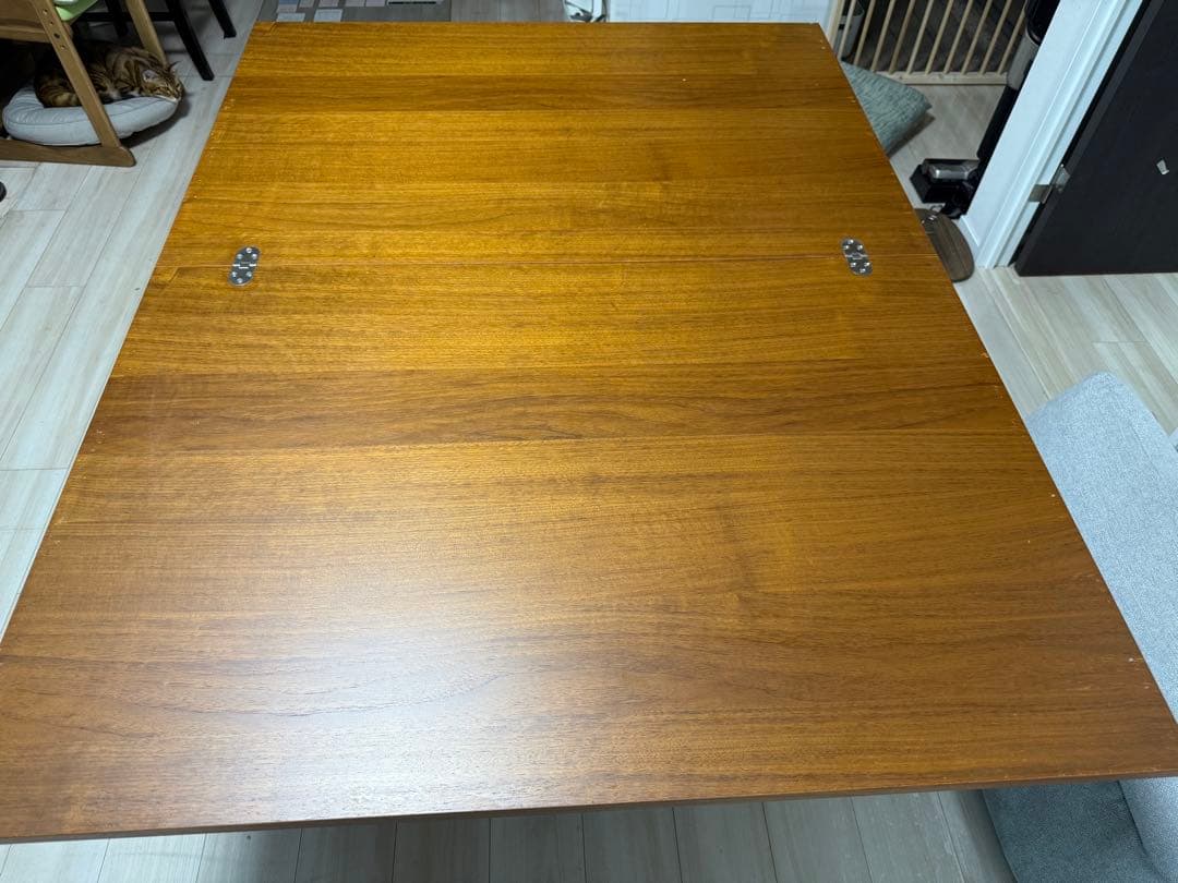 【フロイト】カリガリス・テーブル（1/3）