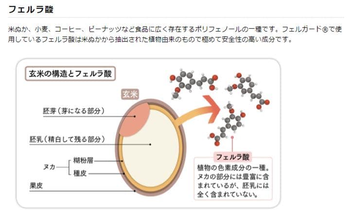 カタログ価6万円！裏糊ツヤピカ！大正8年第一次世界大戦終結記念切手