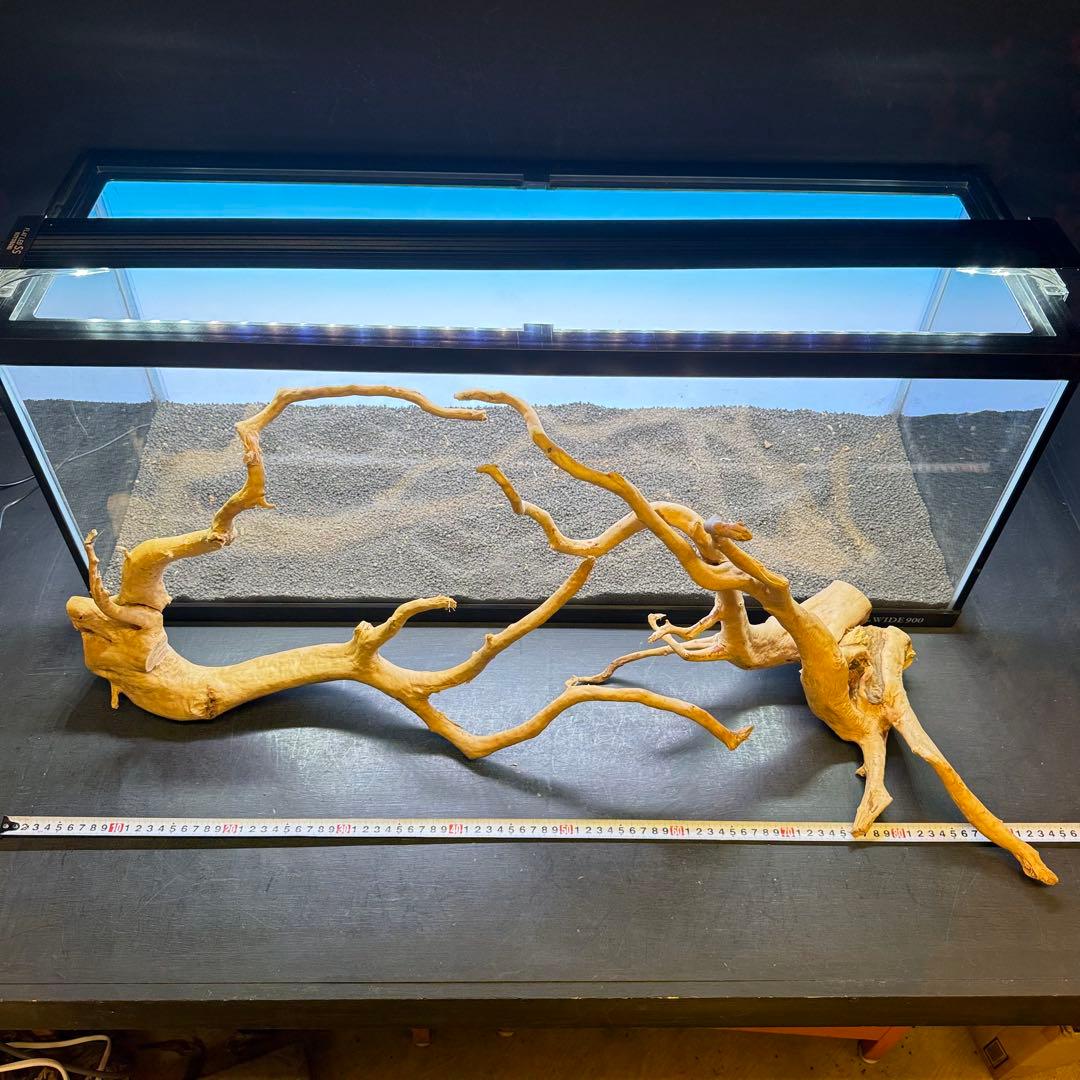 MDW-7102 ブランチウッド2本セット　流木セット　枝流木　アクアリウム