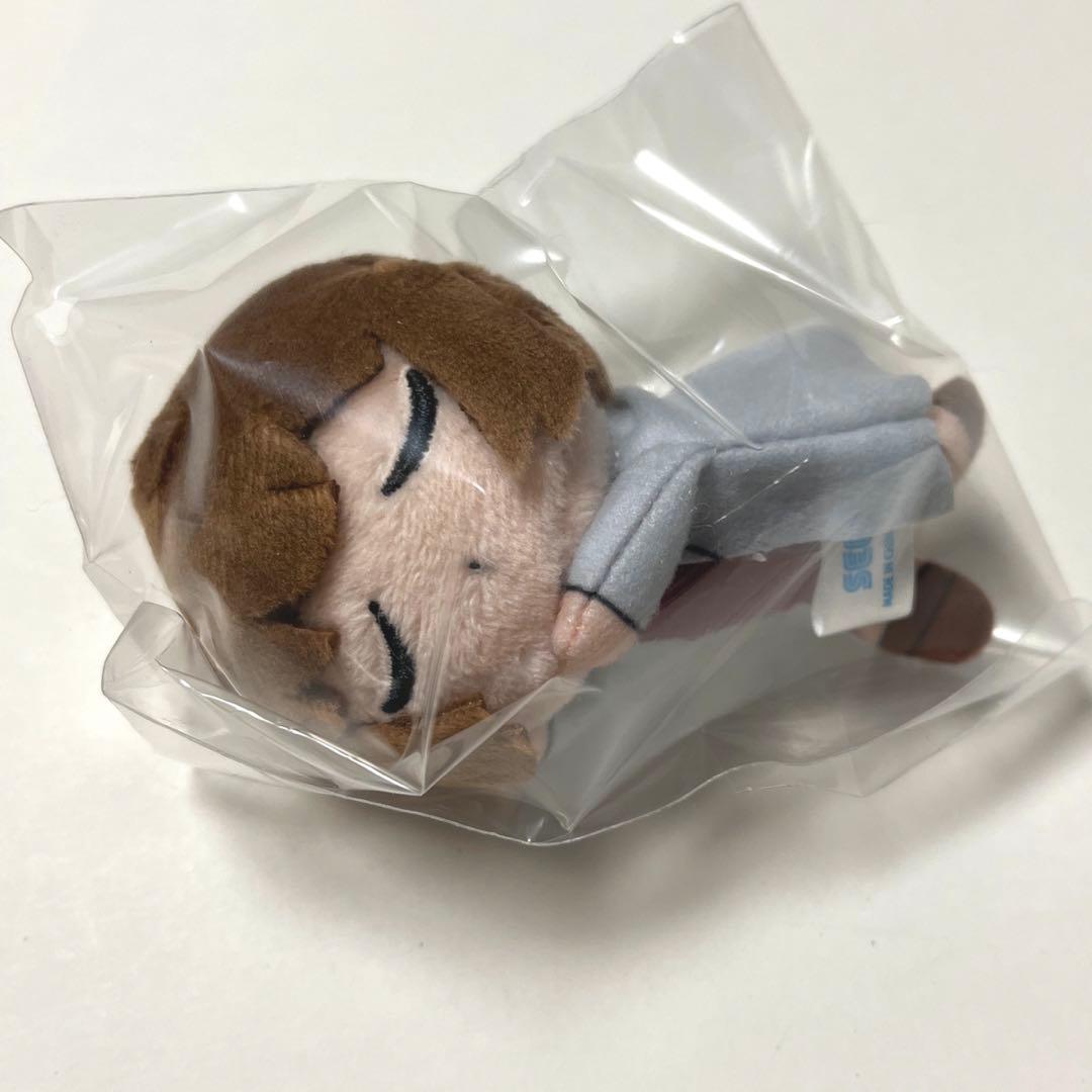 名探偵コナン おやすみぬいぐるみ ぷち 灰原哀 シェリー - メルカリ