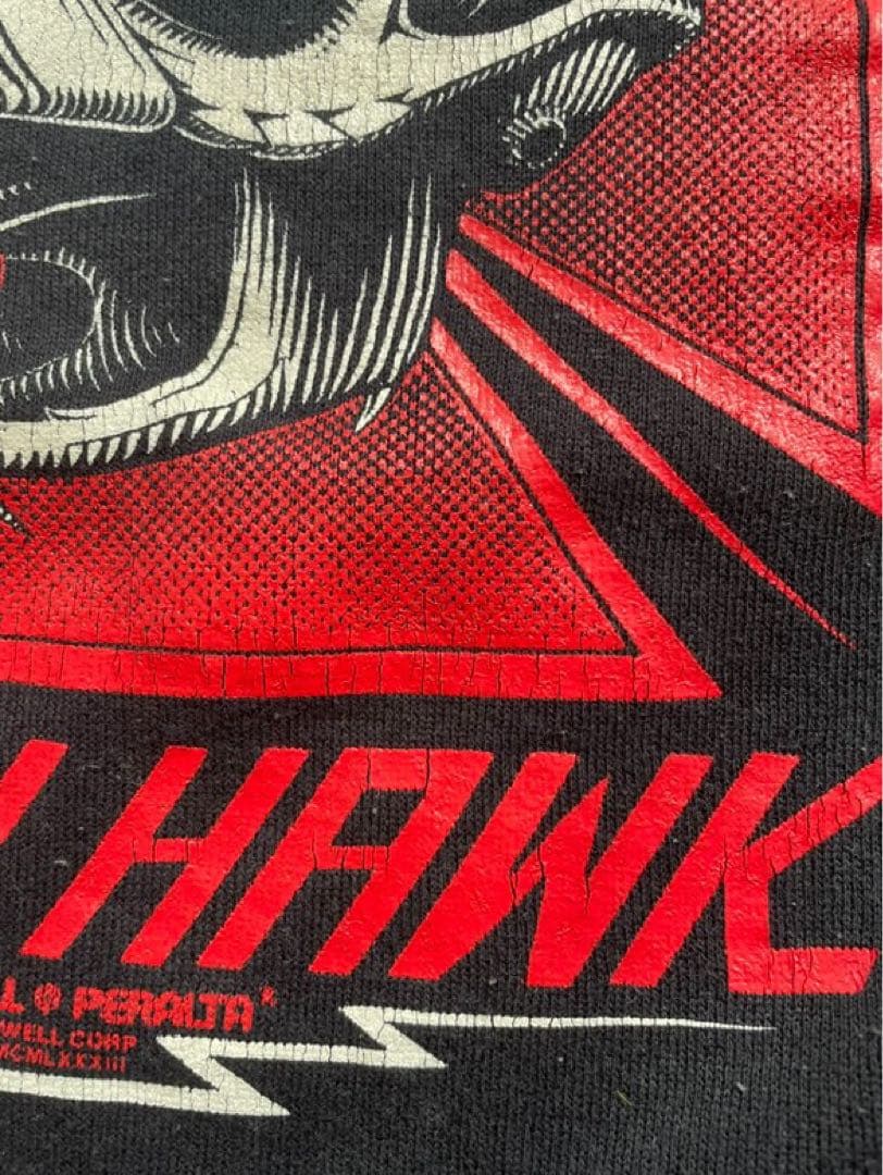 ⚫︎ともぞう⚫︎TONY HAWK スカルプリント スウェット