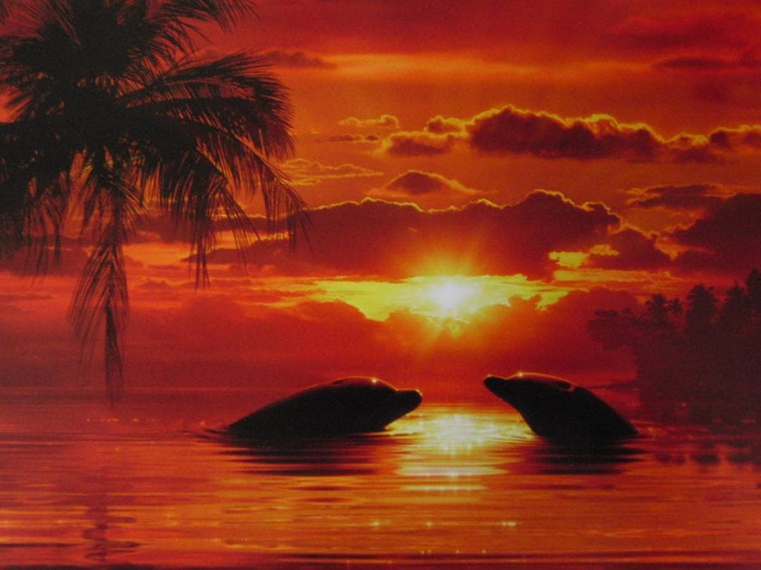 クリスチャン・ラッセン、【エンドレス パッション】、希少な額装用