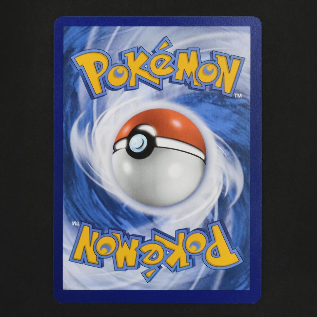 Greninja ex SVP EN 132 プロモ ゲッコウガ 英語版 浮世絵