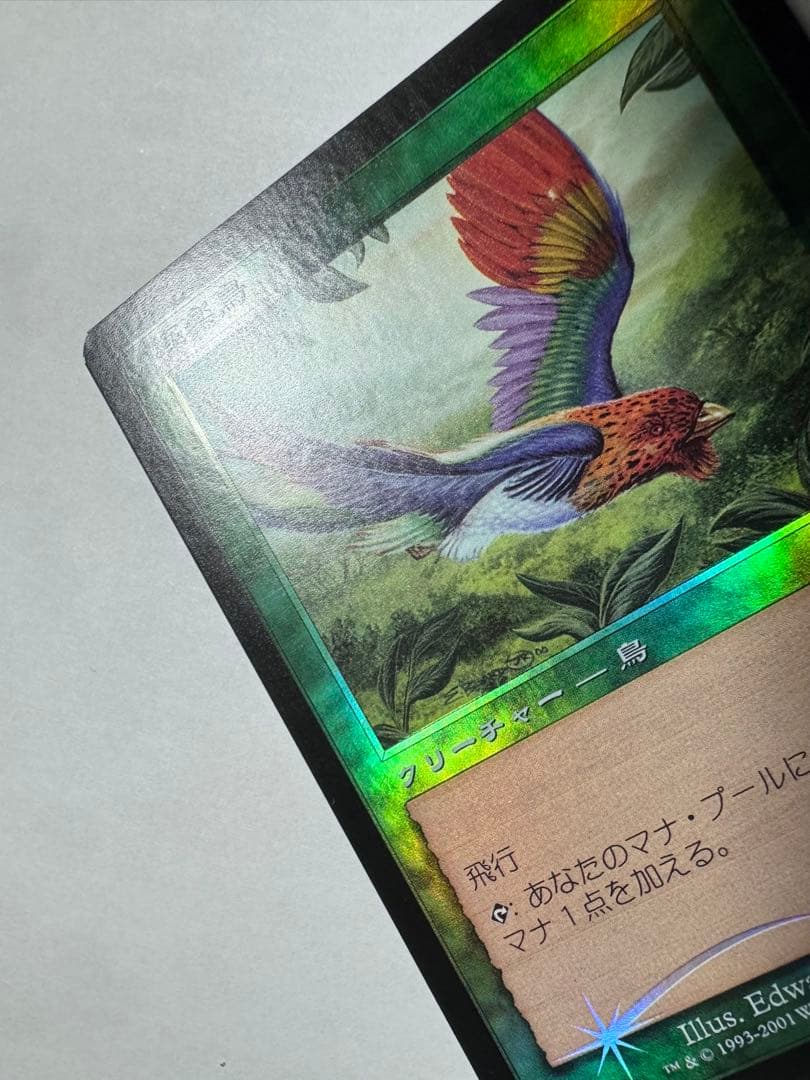 【希少】MTG 7版日本語旧枠Foil極楽鳥/Birds of Paradise