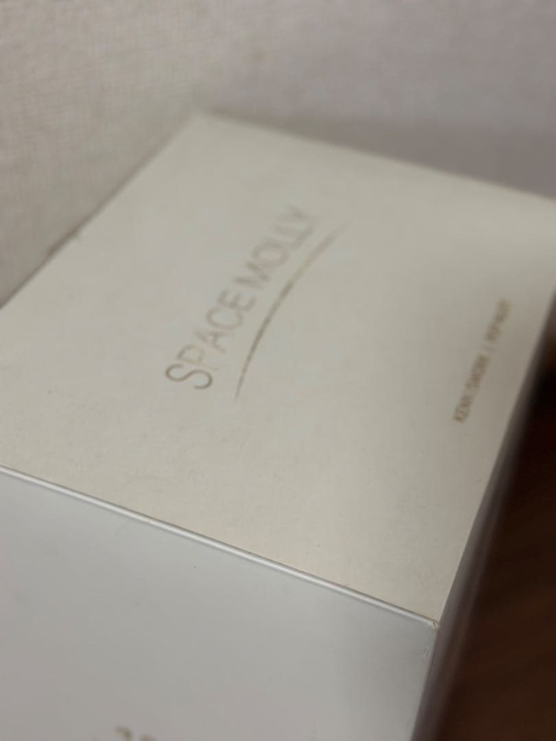 ポップマート MEGA SPACE MOLLY 400% SPACE S