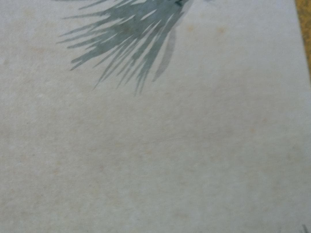 桂堂画 鶴 日本画 掛け軸