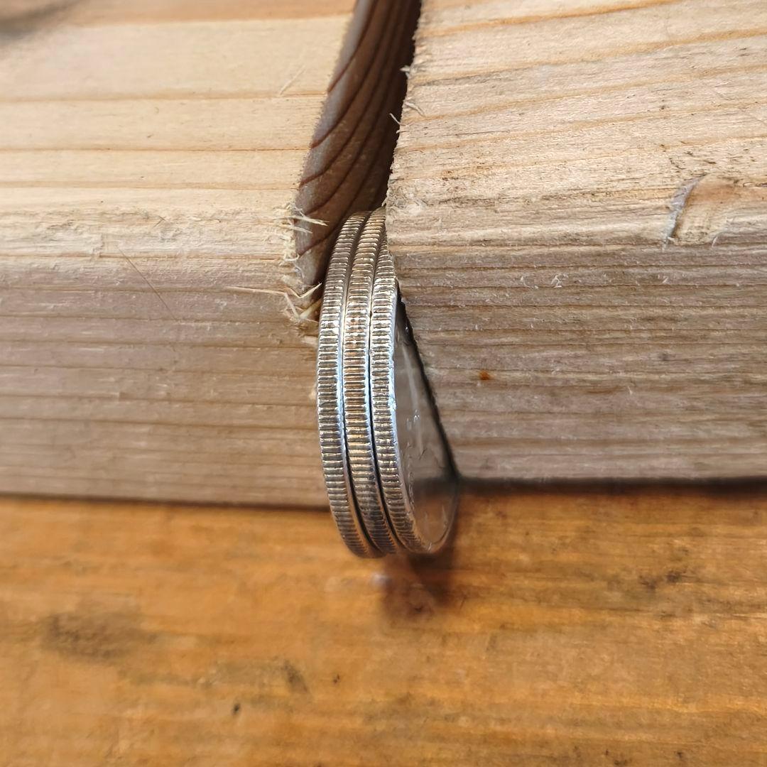 EasternRosella08お纏め