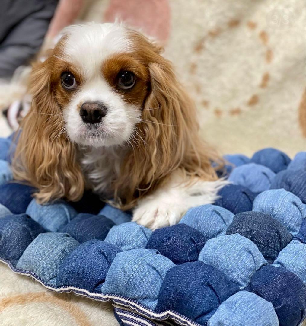 ぽこぽこカフェマットMサイズクッション① デニムリメイク