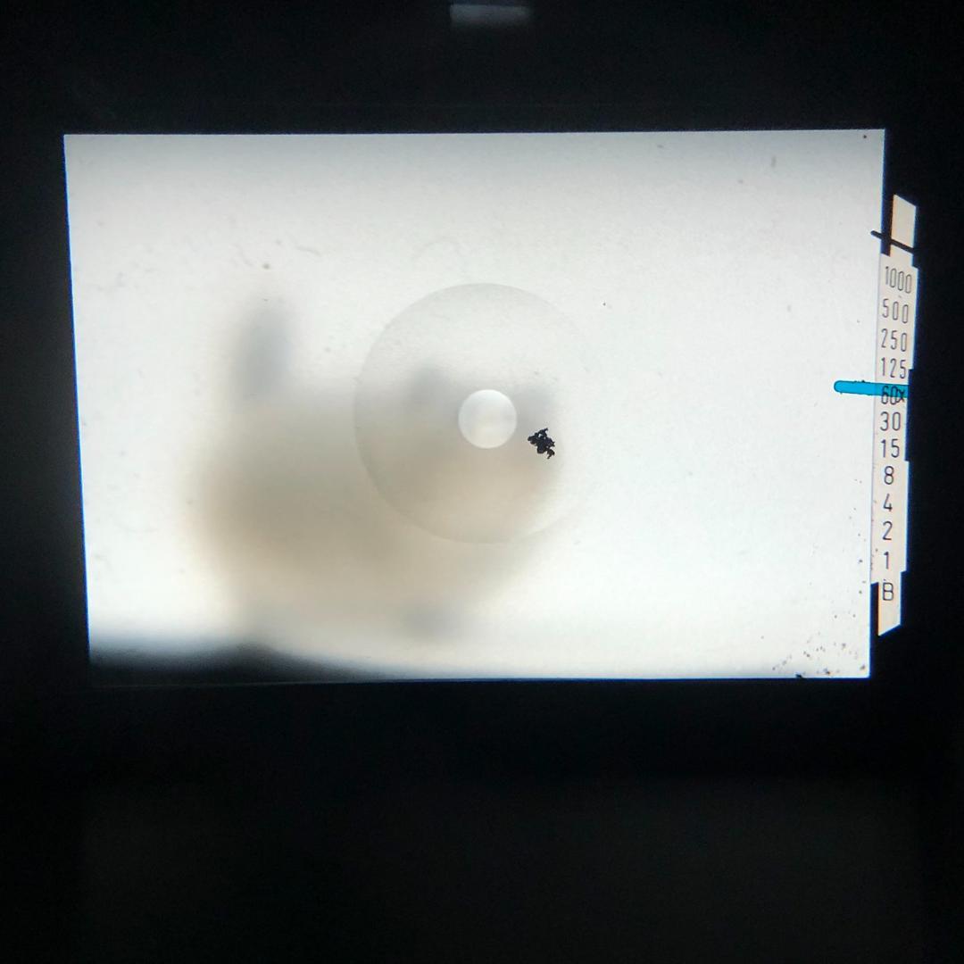 C6607】分解清掃済み！ PENTAX KX + SMC 55mm F1.8