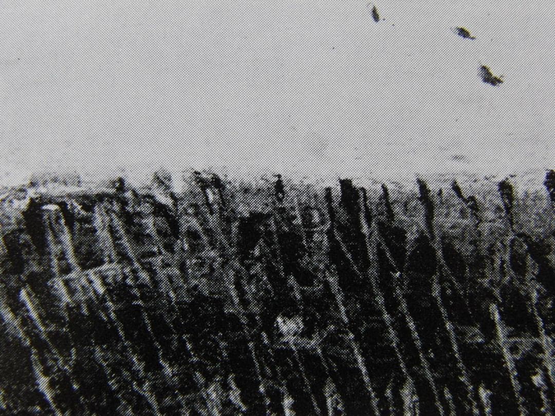 香月泰男、【雀】、希少な額装用画集より、新品額装付、状態良好