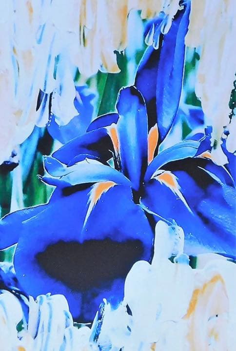 ＋ZEAMI　Untitled エディション作品　アートフェア