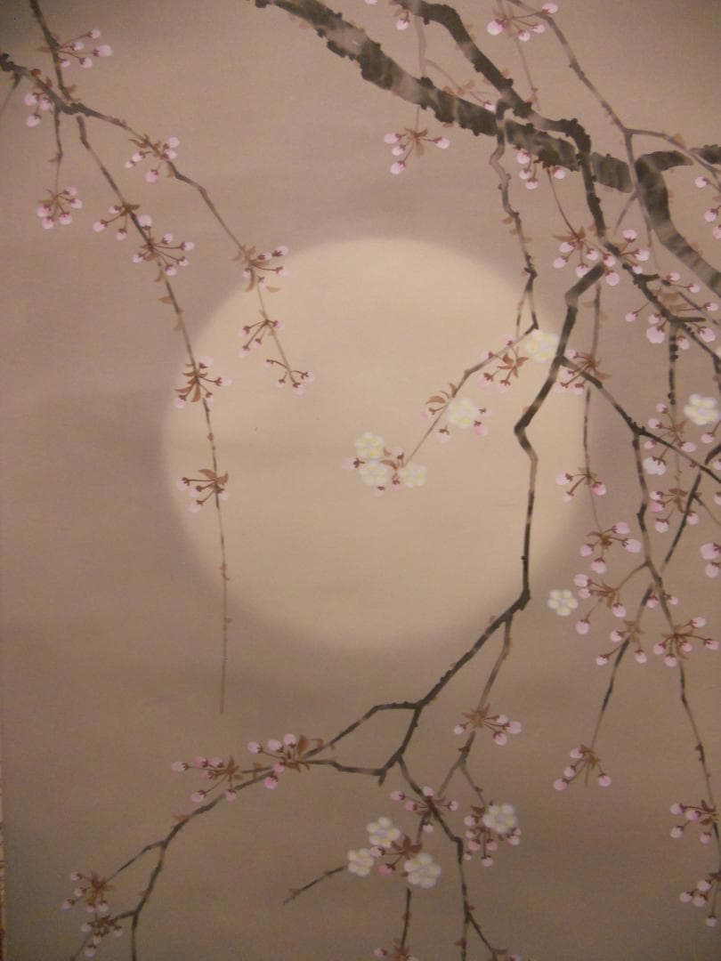 掛け軸 杉浦契雪 『 夜桜 』 絹本 希少 軸装 茶道具 掛軸 美品 です。