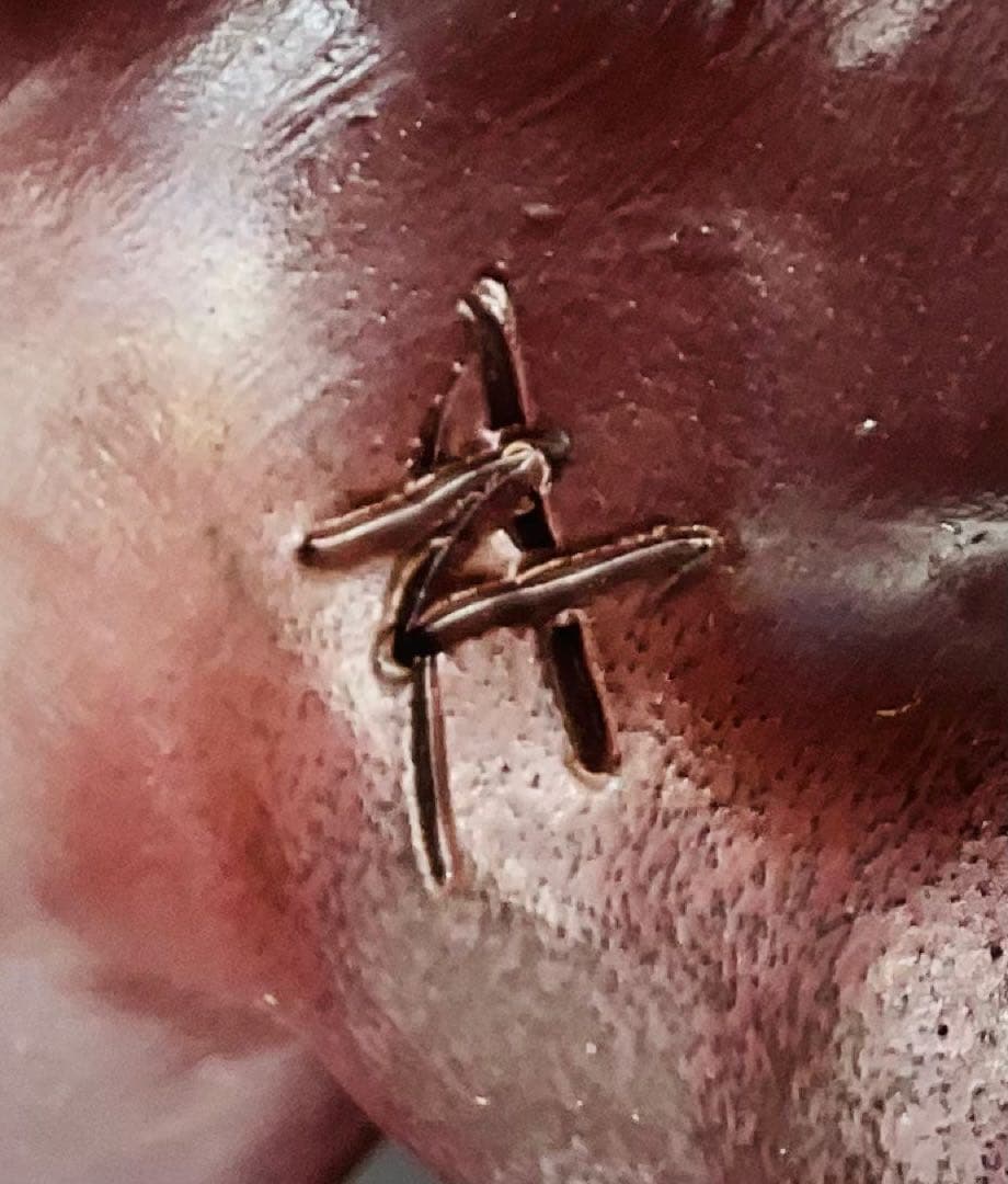 大正生まれの名工 末石高仙先生 備前焼獅子置物 共箱【14】