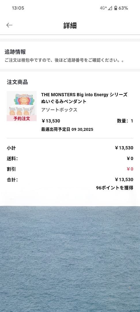 THE MONSTERS Big into Energy ラブブ　アソート