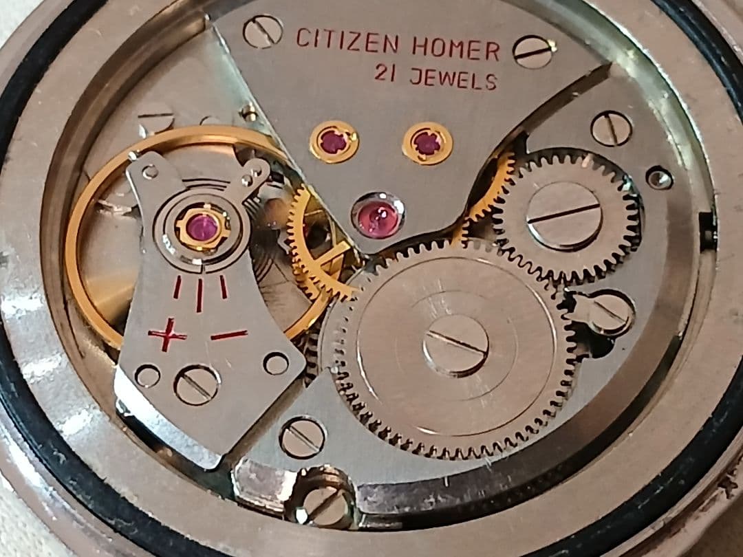 ★ポトス20　　ホーマーデイト21石パラウォーター