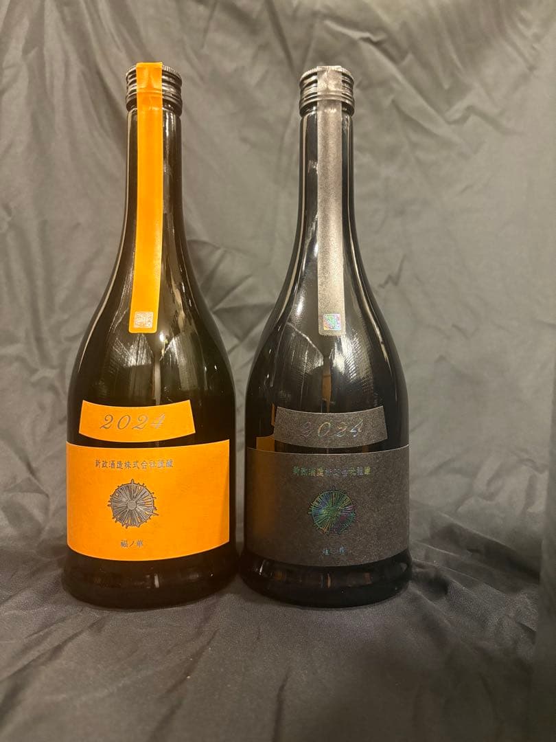 新政 タンジェリン (山吹) アッシュ(水墨)