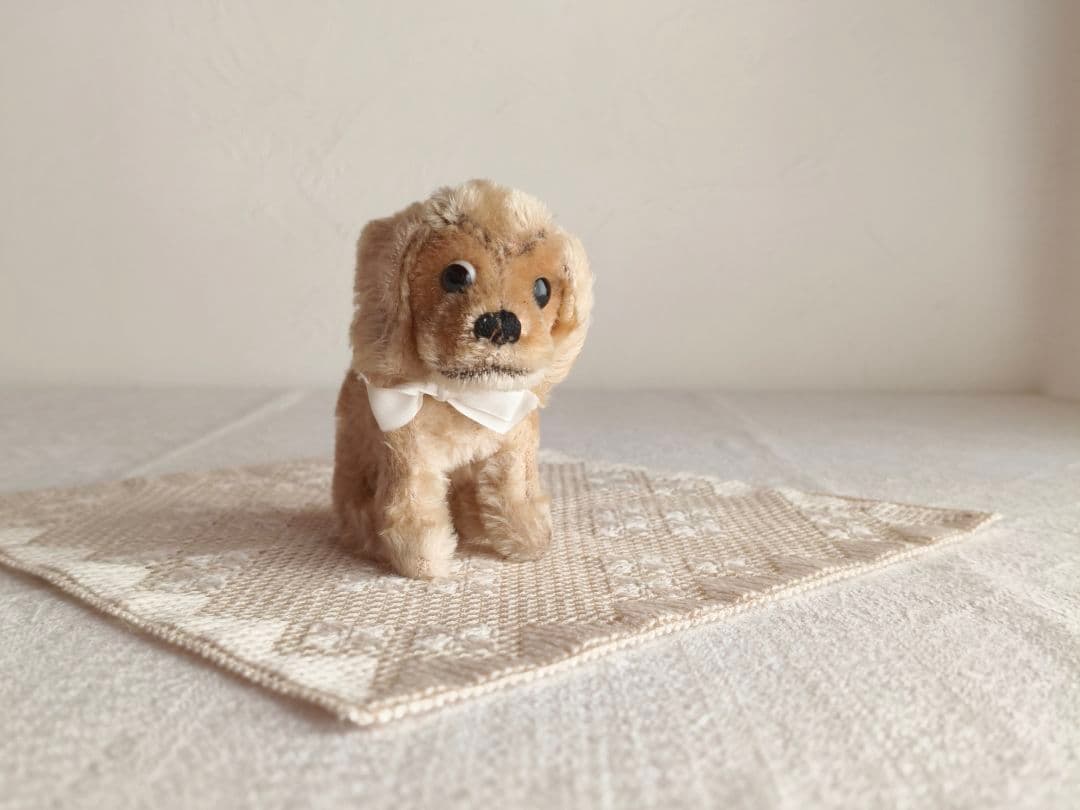 * vintage dogl ❀ きょとんとしたお顔が 可愛い ワンちゃん