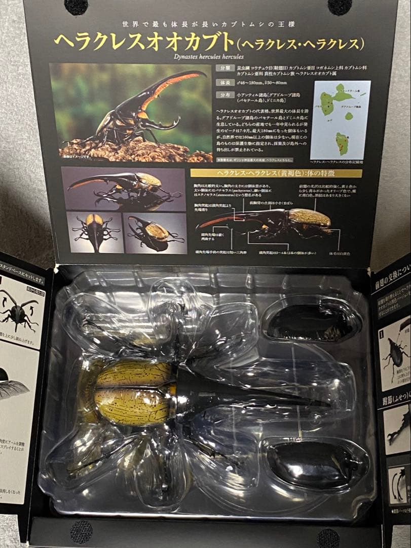 いきもの大図鑑プレミアム　ヘラクレスオオカブト　フィギュア